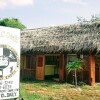 Отель Ночлег и завтрак Palmento Grove Garifuna Eco Cultural and Fishing Institute в Хопкинсе