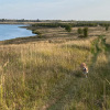 Гостевой дом Советов на Вазузе, фото 14