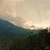 Курортный отель Jungle Valley Resort Wayanad, фото 6