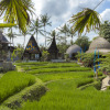 Отель Menzel Ubud, фото 2