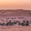 Отель Thousand Nights Camp, фото 2