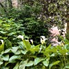 Отель Viva Silviia, фото 20