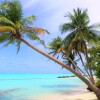 Гостевой Дом Holiday Mathiveri Inn, фото 18