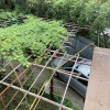 Гостевой дом Жемчужина у моря, фото 9