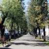 Апартаменты в сердце Костромы, фото 22