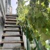 Гостевой Дом Любой Каприз, фото 12