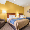 Отель Comfort Inn & Suites, фото 8