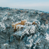 Отель Forest Hotel, фото 2