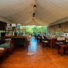 Отель Camping Yala Hotel Ravana luxury Safari Camp Tents, фото 33