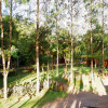 Отель База Отдыха Oak Tree Bali, фото 13