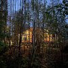 Гостевой дом Шале в лесу, фото 4