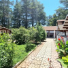 Курортный отель Eco House Pitiunt, фото 22