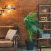 Отель Timber Boutique Hotel, фото 16