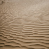 Отель Кемпинг Aroma Desert Safari, фото 10