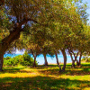 Отель Вилла Malt BeachFront, фото 4