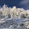 Апартаменты Fichtelbeger Blick, фото 33