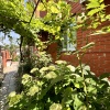 Гостевой дом Гортензия, фото 9