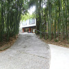 Отель Бамбуковая роща, фото 23