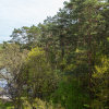 Апартаменты Аврора с видом на лес и озеро, фото 4