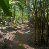 Хостел RioAgujitasEcoFarmandTours, фото 16