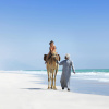 Курортный отель Al Baleed Resort Salalah by Anantara, фото 24