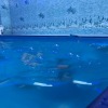 Отель Гостиничный Комплекс Алмаз, фото 12