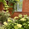Гостевой дом Гортензия, фото 8