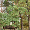 База Отдыха Загородный Отель Волга, фото 27
