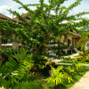 Курортный Отель Lipa Bay Residence, фото 12