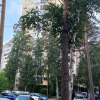 Гостиница Квартира Лайф в Екатеринбурге