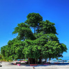 Гостевой Дом Feridhoo Inn, фото 28