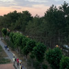 Гостиница Квартира  у Моря, фото 14