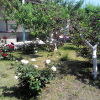 Гостиница Uyutnyy Dvorik, фото 22