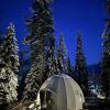 Гостиница Глэмпинг Алтай Forest Glamp, фото 13