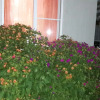 Гостевой дом Солнечный, фото 17