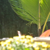 Хостел Tepi Sawah lodge, фото 22