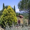 Отель Agriturismo Podere San Lorenzo 1866, фото 7