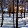 Гостевой дом Ольхонский лес, фото 1