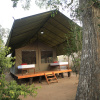 Отель Topan Yala – Luxury Tented Safari, фото 9