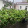 Гостевой дом Кипарис 2, фото 6