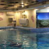 Курортный отель SPA Отель Рафаэль, фото 7