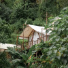 Отель Глэмпинг Eco Park Pelaga, фото 12