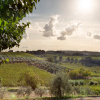Отель Вилла nel Chianti A casa di Franca, фото 12