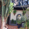 Апартаменты Apartamentos Monasterio de San Antonio Adults Only, фото 30