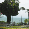 Апартаменты Jomtien Plaza Condotel, фото 38
