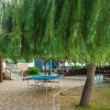 Отель Pontos Family Resort Vesta All Inclusive, фото 7