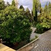 Апартаменты в Центре Сочи, фото 14