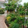 Отель Ninh Binh Eco Garden, фото 37