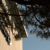 Отель Harvey Suites Hotel & Residence, фото 1