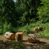 Гостиница Les Ryadom Glamping, фото 12